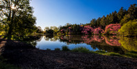 Dawn breaks with sunburst shining through trees on a lake filled