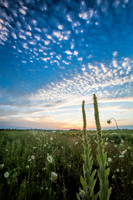 Dramatic sunset over prairie filled with green grasses and queen