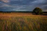 Golden sunset on prairie glacial slope.