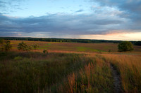 Sunset on prairie grasses. IL.