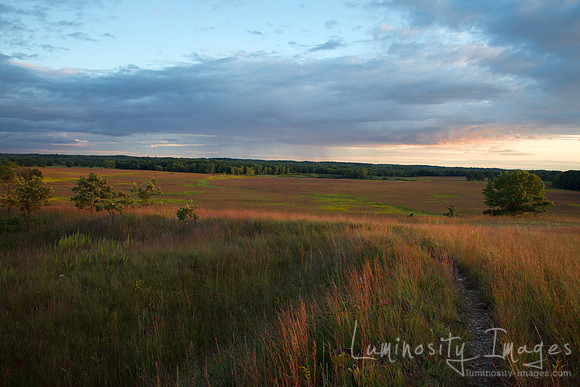 Sunset on prairie grasses. IL.