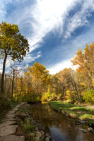 Autumn leaves surround Saw Mill Creek at Waterfall Glen IL.
