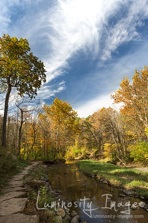 Autumn leaves surround Saw Mill Creek at Waterfall Glen IL.