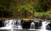 Autumn leaves surround waterfall at Waterfall Glen Forest Preser