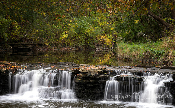 Autumn leaves surround waterfall at Waterfall Glen Forest Preser