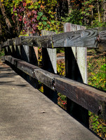 Wooden bridge in fall color.Indiana Dunes State Park.