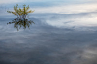 Morning autumn sunrise lake reflections.Lost Canoe Lake WI.