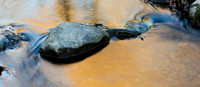 Autumn colors revealed in stream.