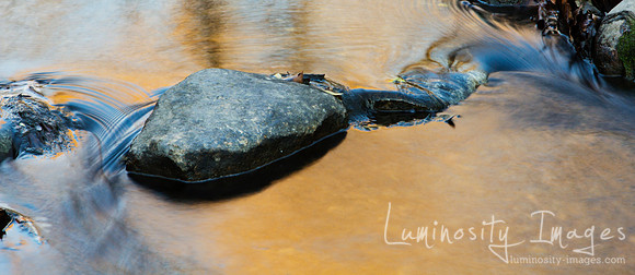 Autumn colors revealed in stream.