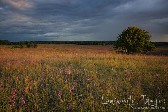 Golden sunset on prairie glacial slope.