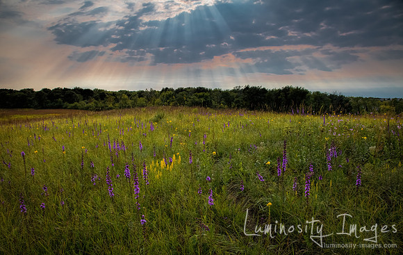 Sun specular burst through clouds onto prairie at twilight. Shoe