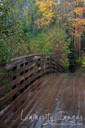 Wooden bridge leads into autumn. WI