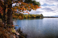 Oak with orange leaves on Lake Carr in autumn. WI