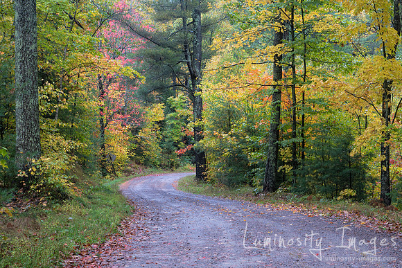 Winding road trailing into fall colors. WI
