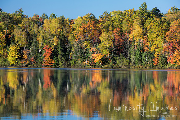 Fall color forms patterns on Wisconsin lake.