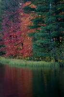 Tricolor fall leaves reflect off lake.WI