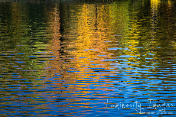 Fall reflections in water. WI