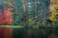Shadow play through fall forest lining lake. WI.