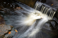 Waterfall with leaves in autumn. Daniel Wright Forest Preserve,